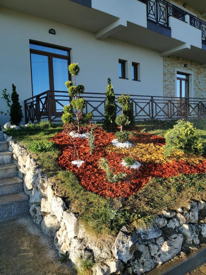 Milmari Resort M16 Markovic 科帕奥尼克 外观 照片